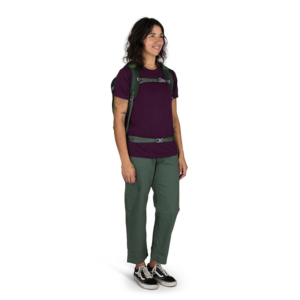 Osprey Daylite™ Plus 20L Backpack Green Belt