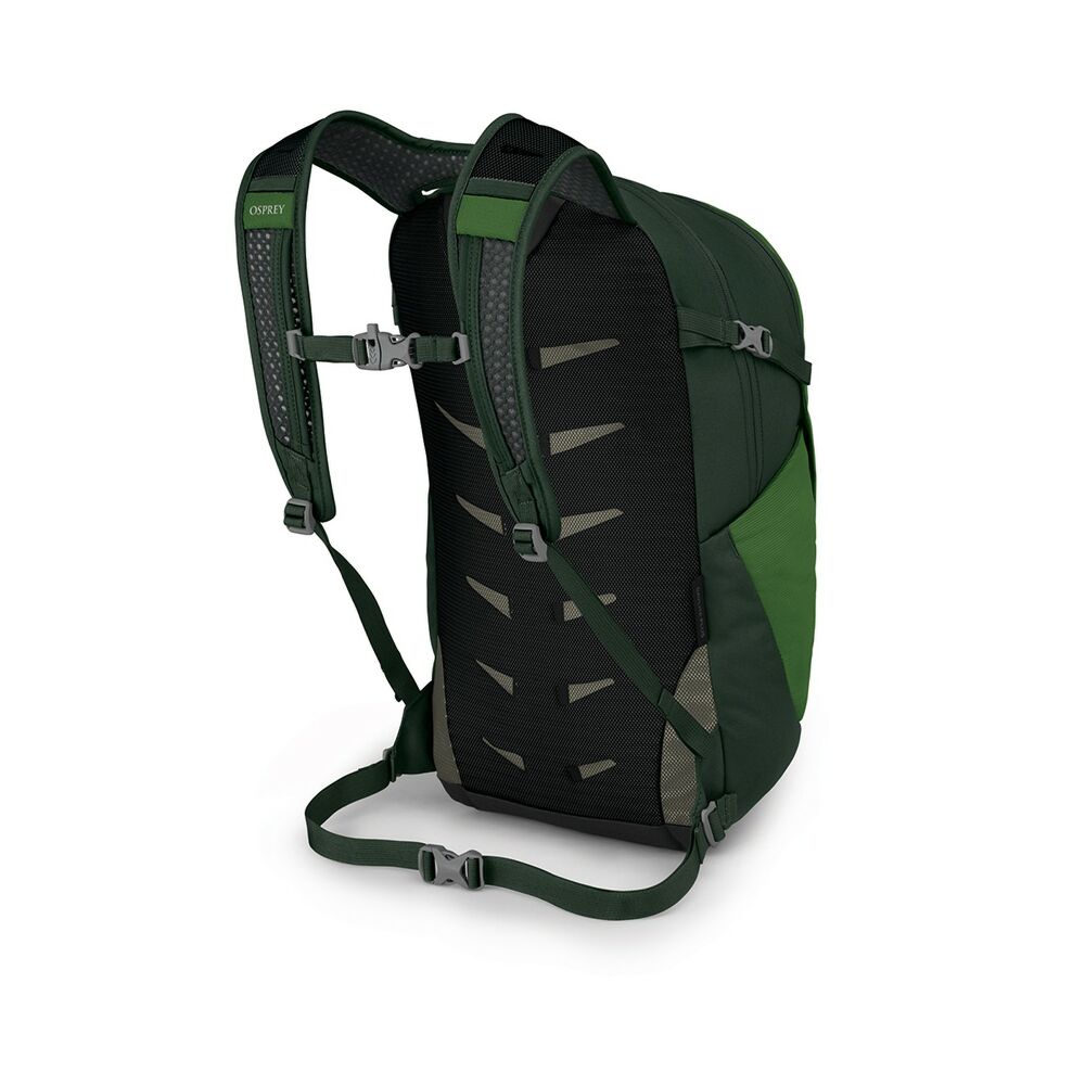Osprey Daylite™ Plus 20L Backpack Green Belt
