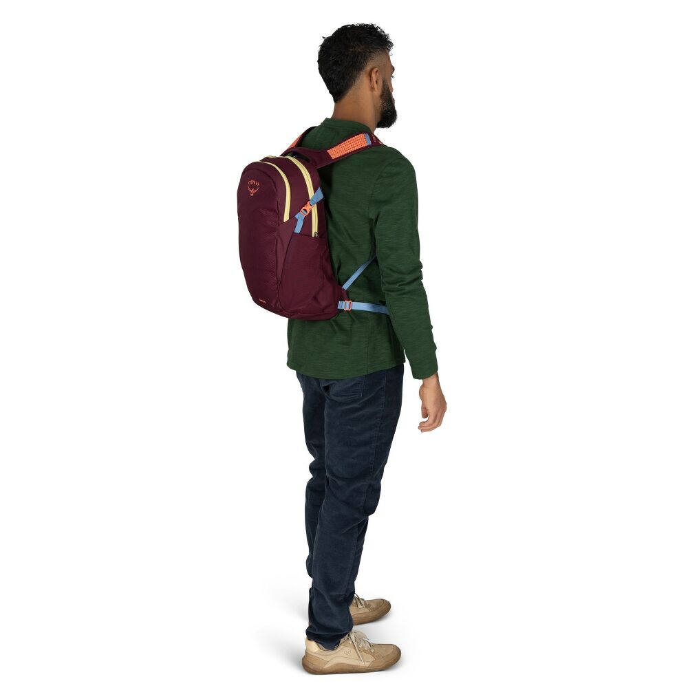 Osprey Daylite™ 13L Pack Moody Burgandy